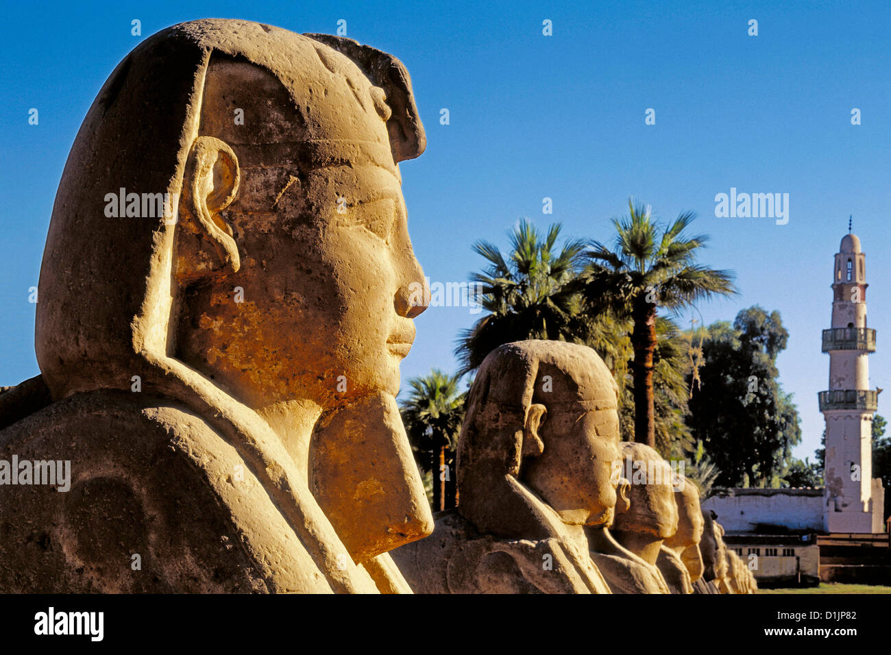 Ägypten-Dromos am Eingang des Tempels von Luxor Theben East Stockfoto