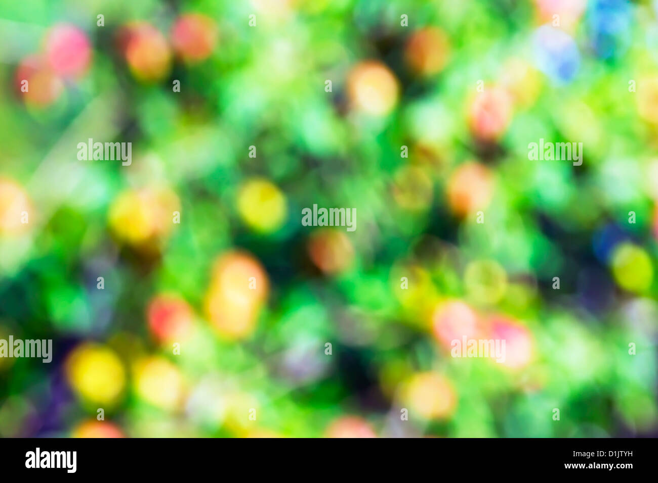 Apfelbaum mit reifen Früchten Bokeh. Abstrakte Kunst weichen Hintergrund der bunten echte natürliche Flecken aus Äpfel und Blätter. Brigh Stockfoto