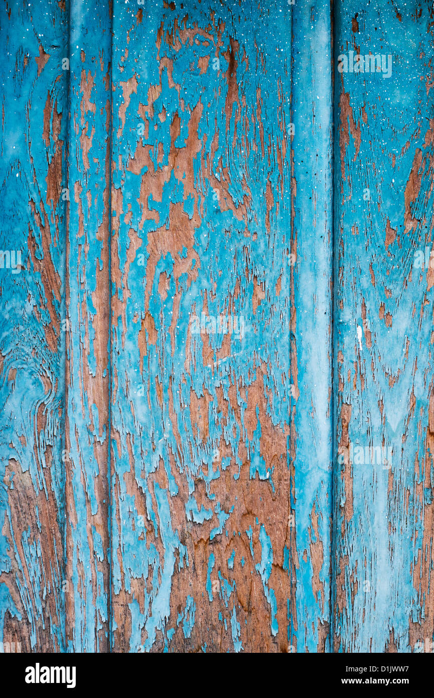 Alte bemalte hölzerne Tür Textur. Indien Stockfoto