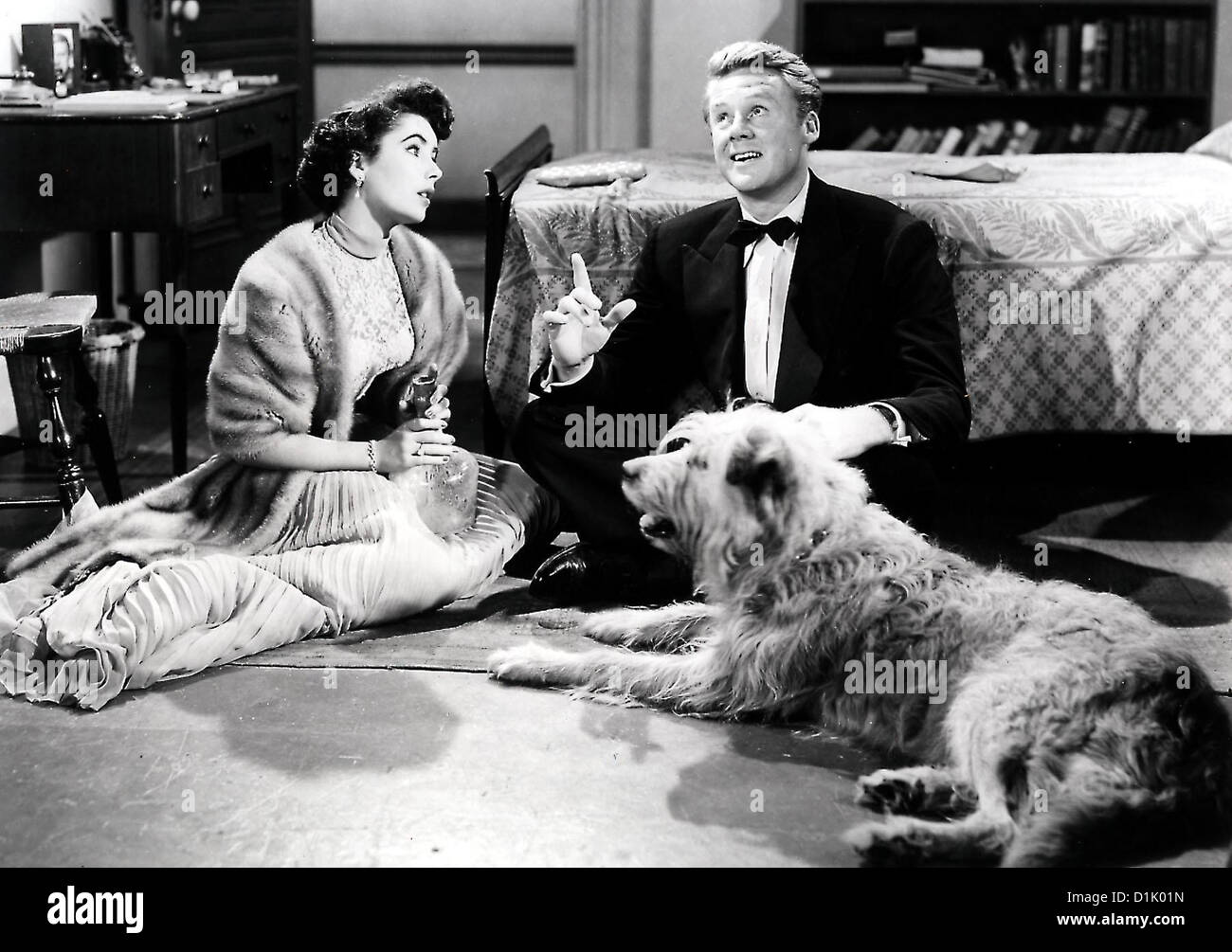 Von Katzen Und Katern großer Kater, Mary Belney (Elizabeth Taylor), David Maldon (Van Johnson) *** lokalen Caption *** 1950-- Stockfoto
