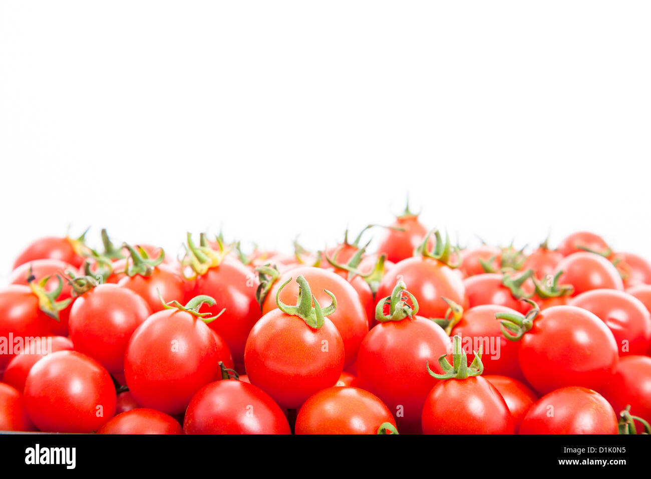 Gruppe von frischen Tomaten auf dem weißen Hintergrund Stockfoto