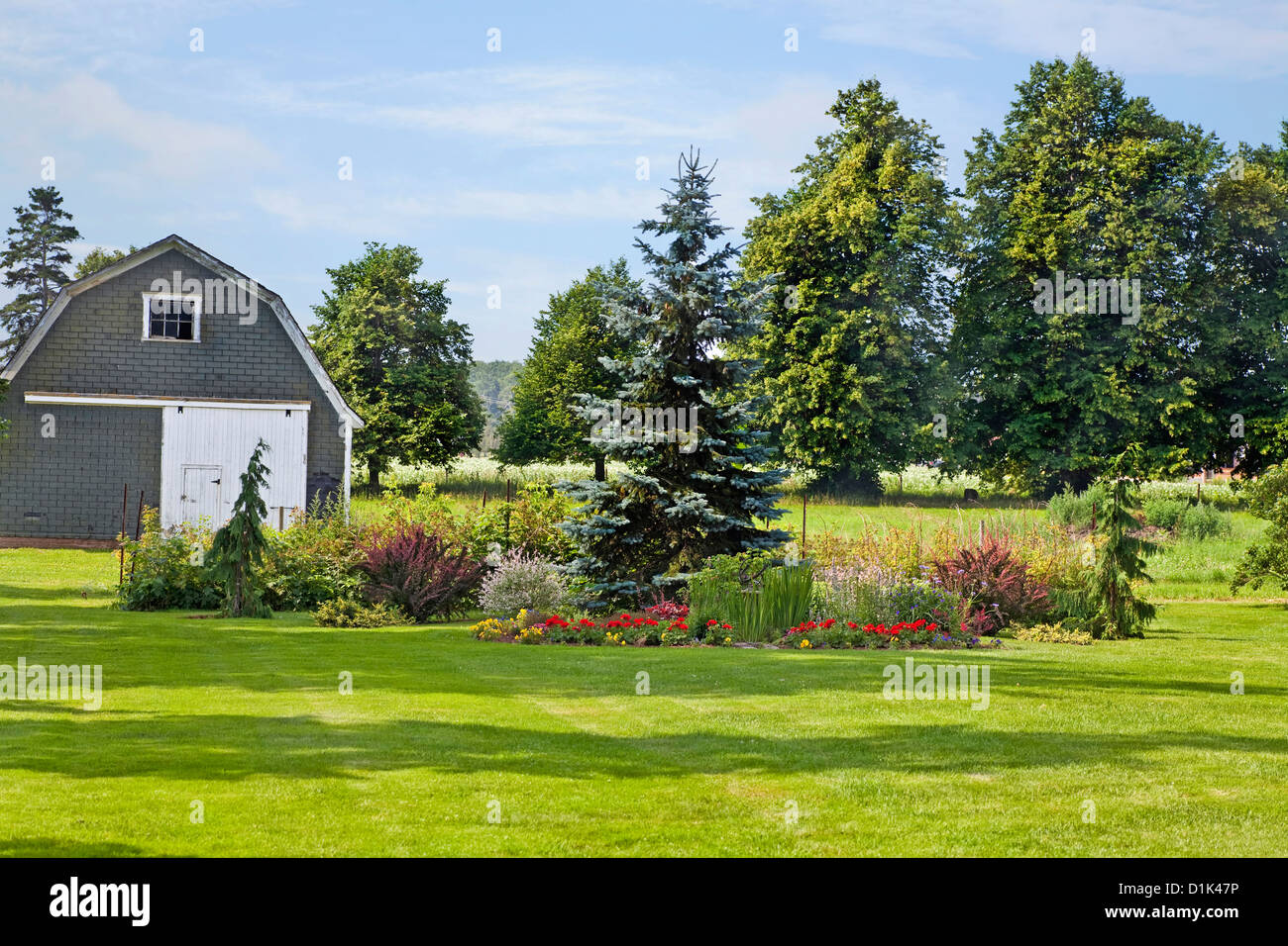 Ein Ziergarten mit Nadelbäumen und Blumen in einem ländlichen Bauernhof-Ambiente. Stockfoto