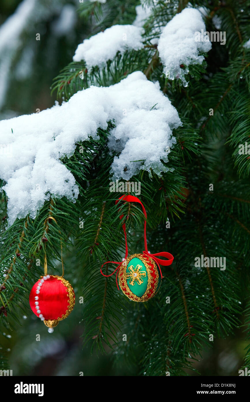 WA06225-00... WASHINGTON - Weihnachtsschmuck Dekoration eine Schnee bedeckt Baum in der Natur. Stockfoto