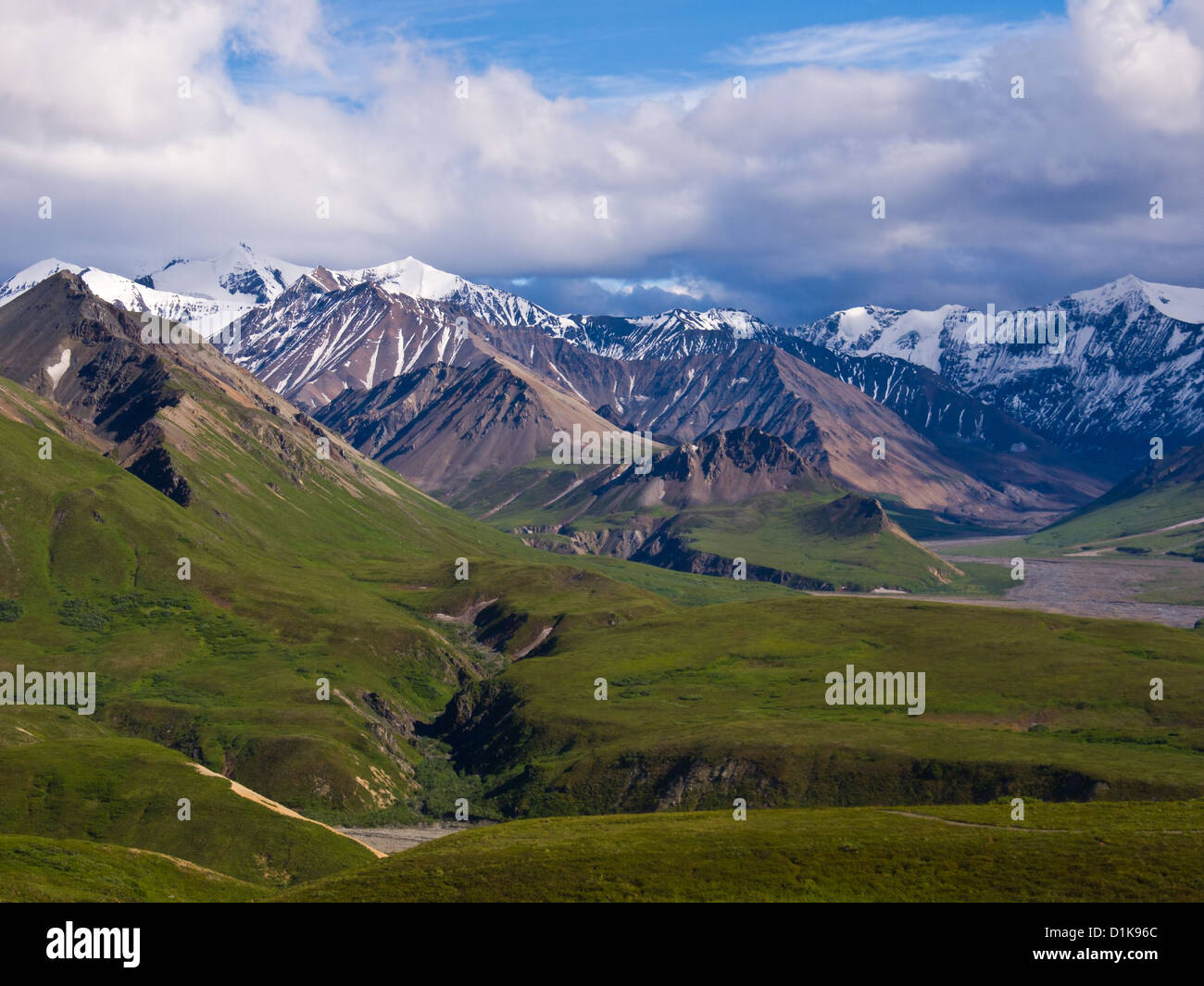 Schneebedeckten Gipfeln, Denali Stockfoto