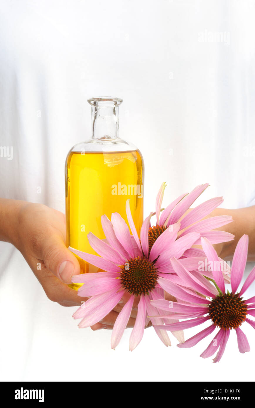 Hände der Frau mit ätherischen Ölen und frischen Kegel Blumen Stockfoto
