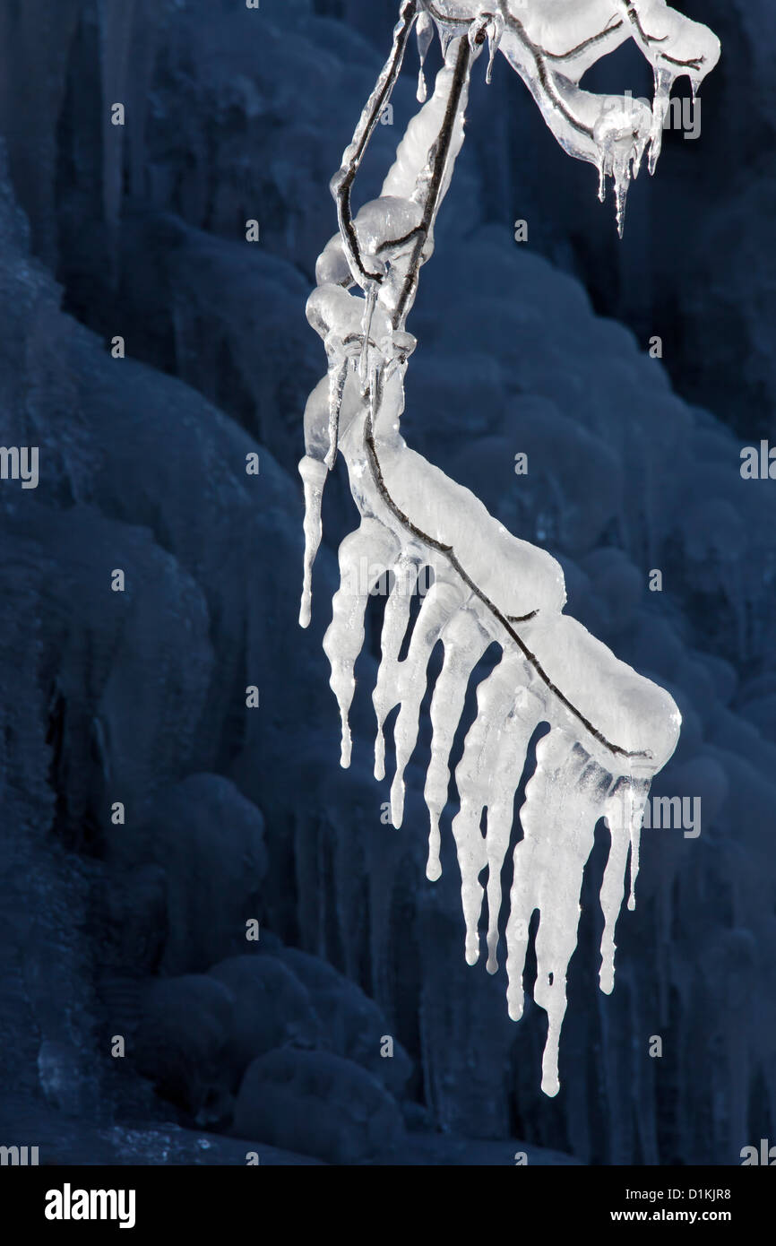 Eiszapfen bilden entlang Zweig in der Nähe von gefrorenen Wasserfall im winter Stockfoto