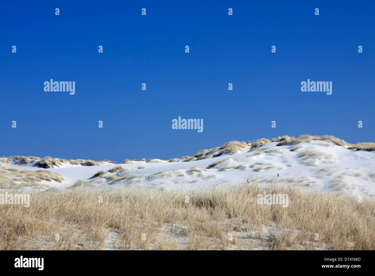 Sanddünen mit Dünengebieten Grass auf Amrum, Nordfriesischen Inseln im Wattenmeer an der deutschen Nordseeküste, Deutschland Stockfoto