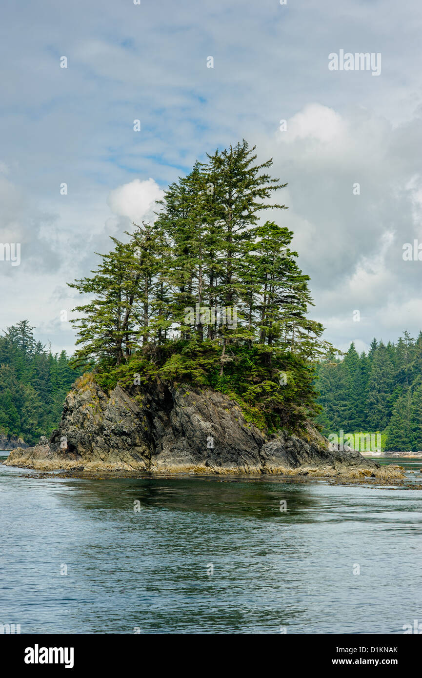 Ufer mit einer kleinen Insel Vancouver Island, British Columbia, Kanada Stockfoto