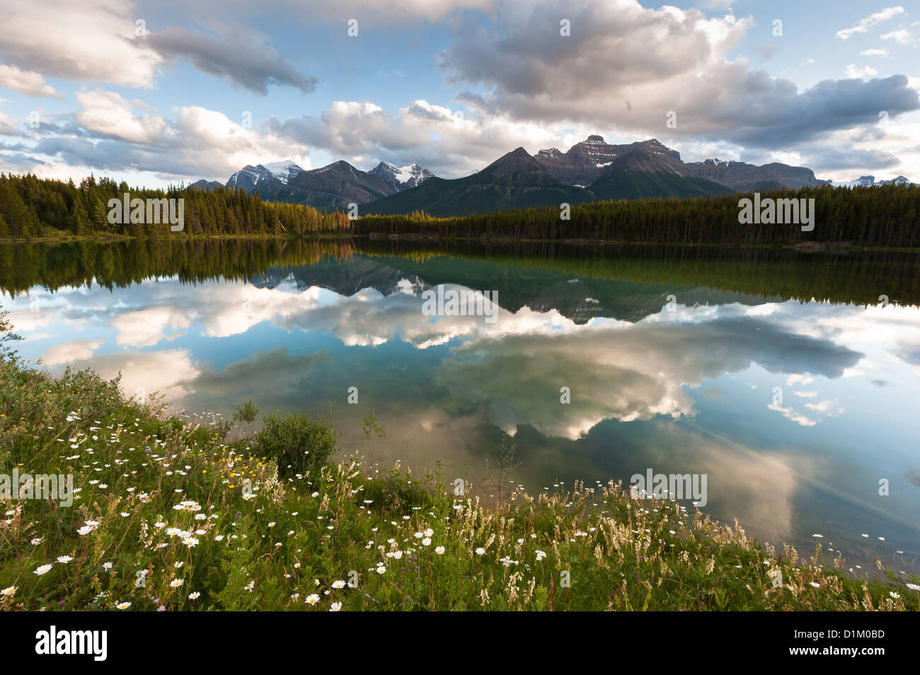 Herbert Lake Panorama in Banff Nationalpark, Alberta, Kanada Stockfoto