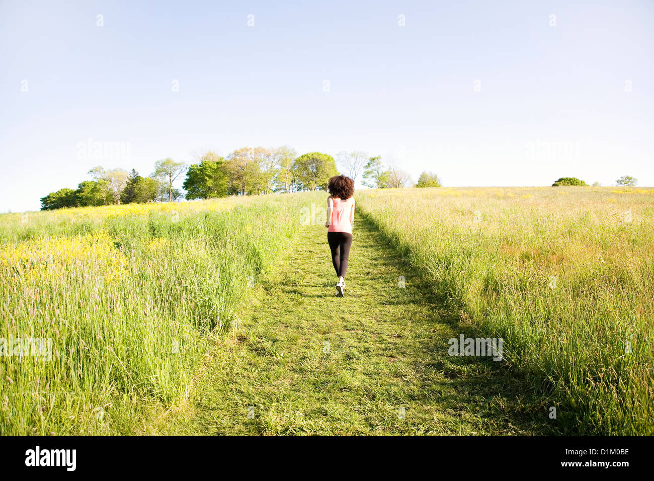 Hispanic Frau in Feld Stockfoto