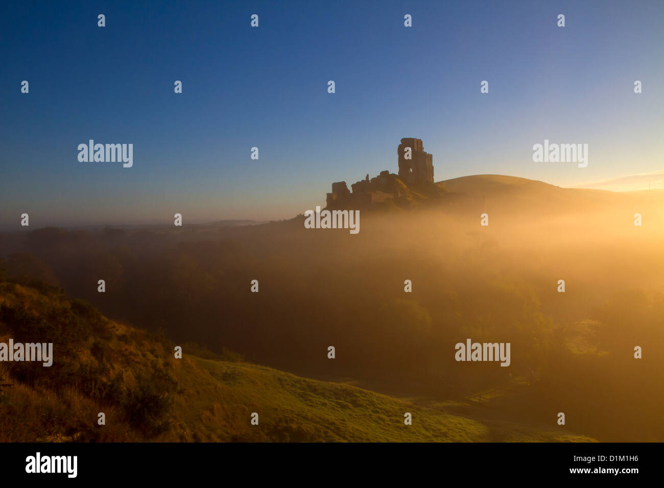 Corfe Castle in der Morgendämmerung an einem nebligen herbstlichen Morgen, Dorset, England, UK Stockfoto