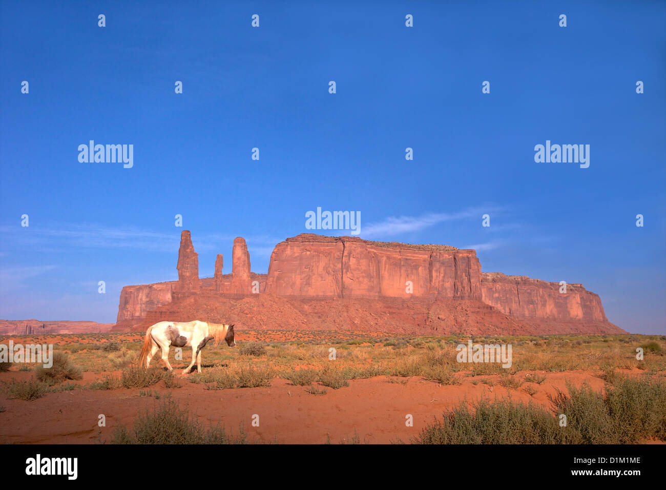 Navajo Pferd, Monument Valley Navajo Tribal Park, Utah, USA Stockfoto