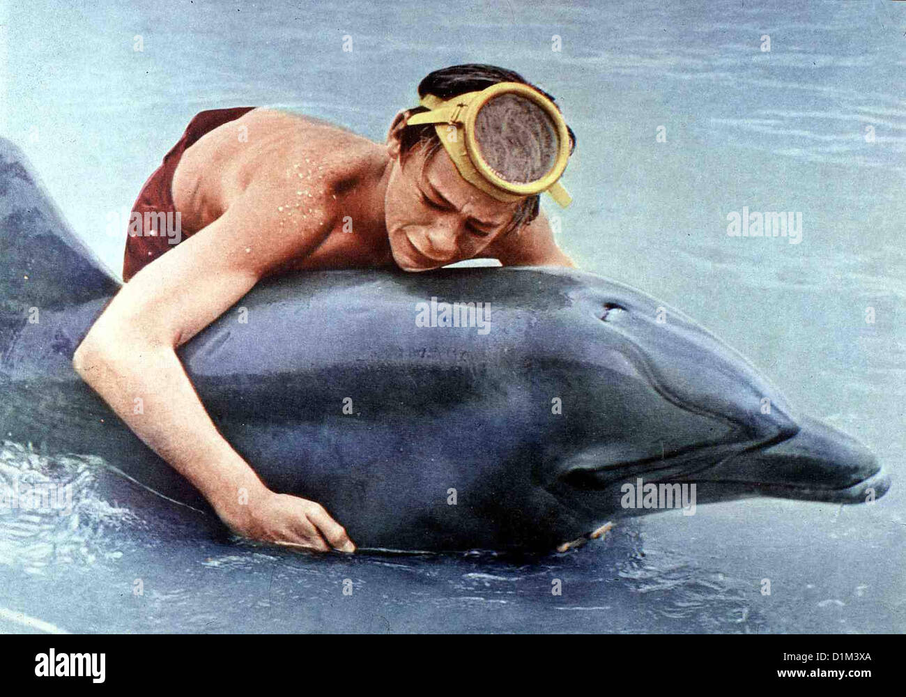 Neue Abenteuer Mit Flipper Flipper neue Abenteuer Luke Halpin Sandy (Luke Halpin) Und Sein Delphin Flipper Muessen Sitsch Stockfoto