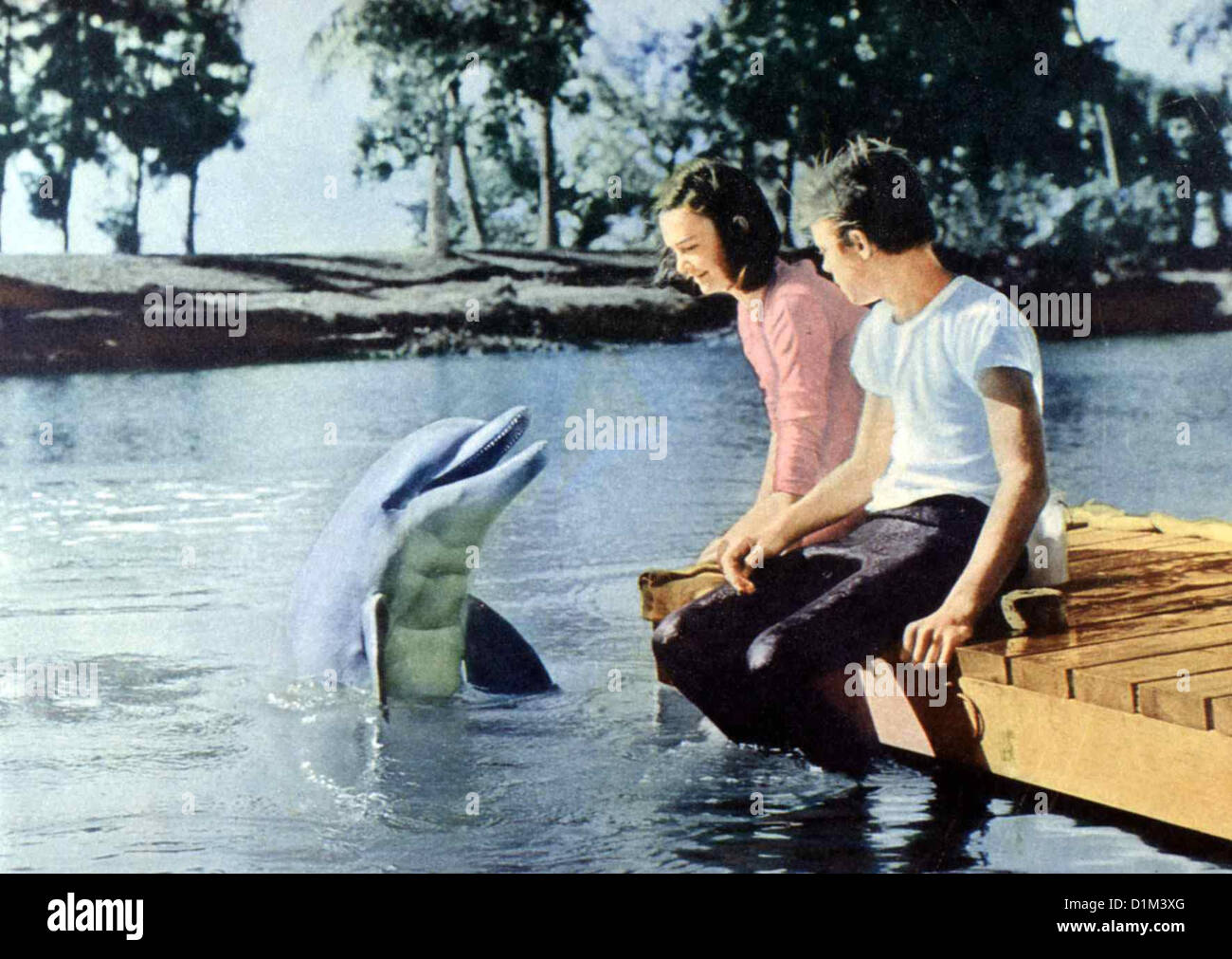 Neue Abenteuer Mit Flipper Flipper neue Abenteuer Pamela Franklin, Luke Halpin nasskalten Flipper Kann Sandy (Luke Halpin, R) sterben Stockfoto