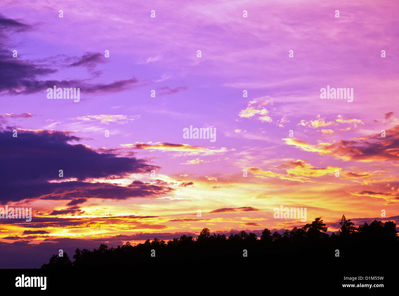 Fantastische Farben von Sonnenaufgang / Sonnenuntergang über der Sonora-Wüste von Arizona. Amerika, USA. Stockfoto