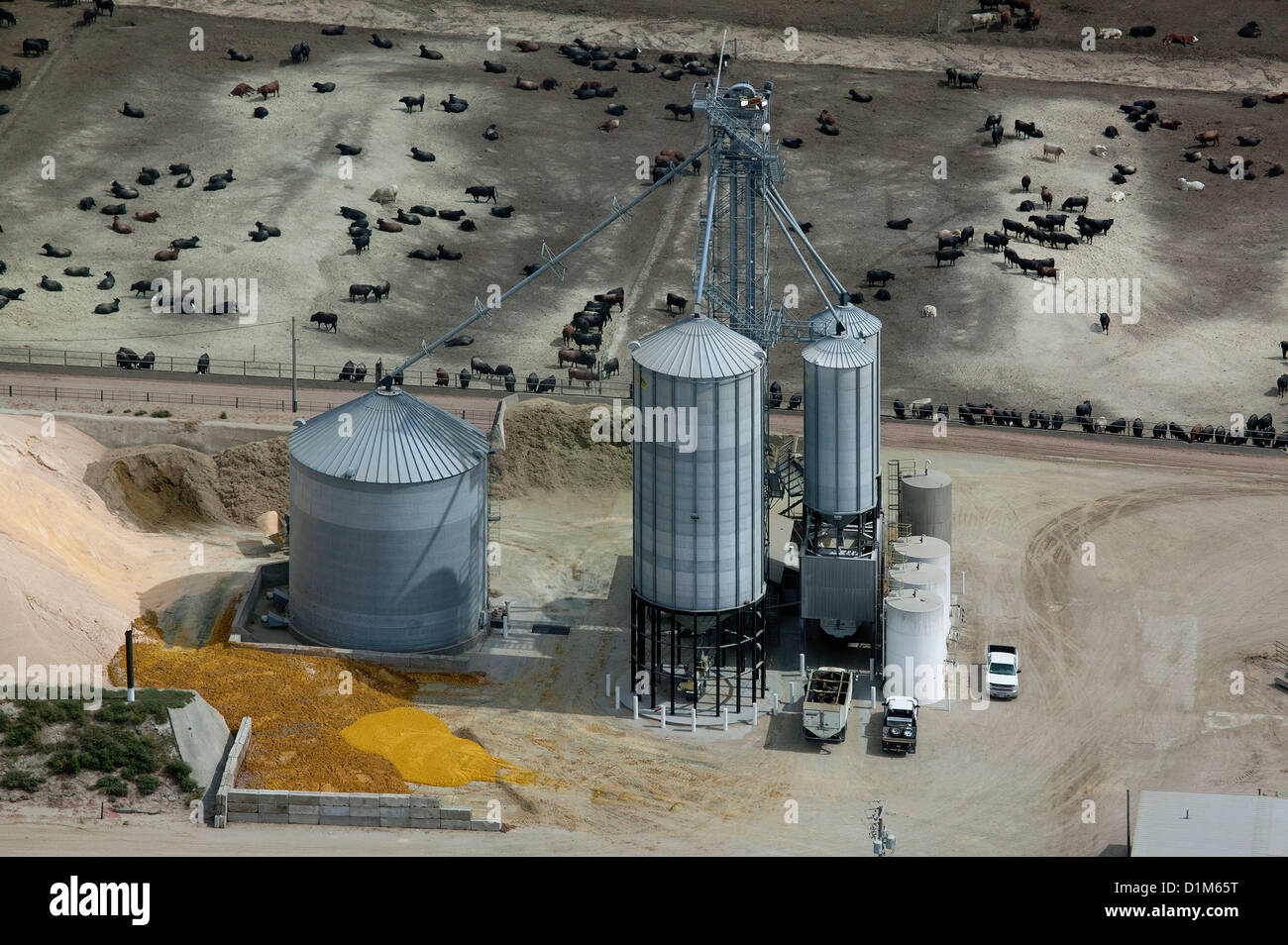 Luftbild-Korn-Lagerung Behälter Rinder Feedlot Nebraska Stockfoto