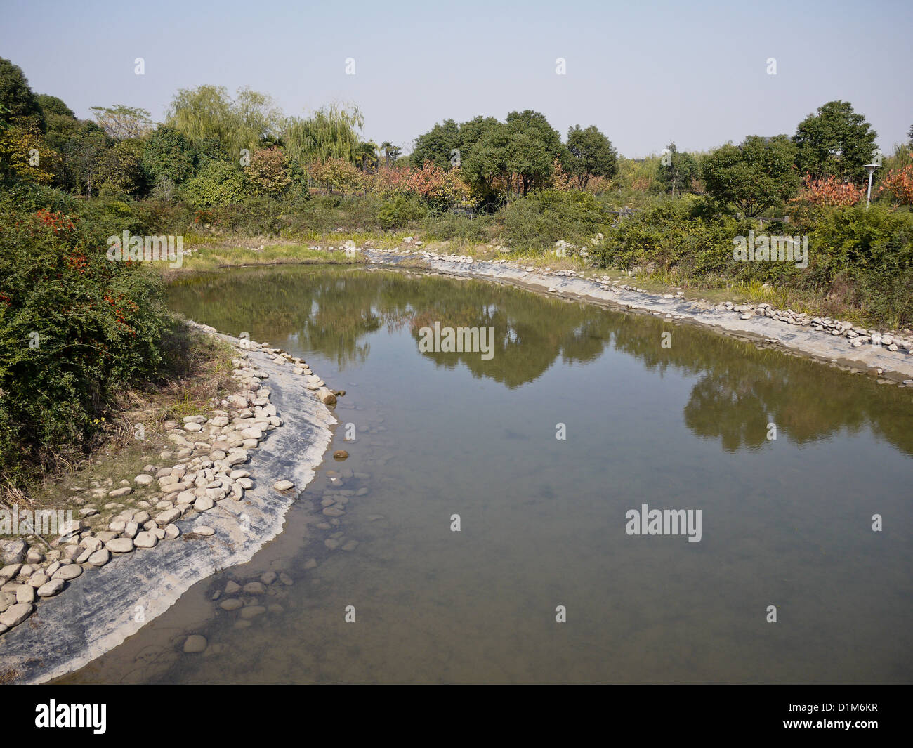China Wetland Park Teichwasser Grasbaum Stockfoto