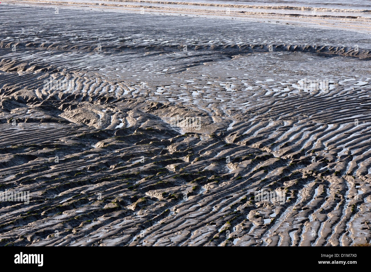 Schlamm-Wellen im Sand Bay Stockfoto