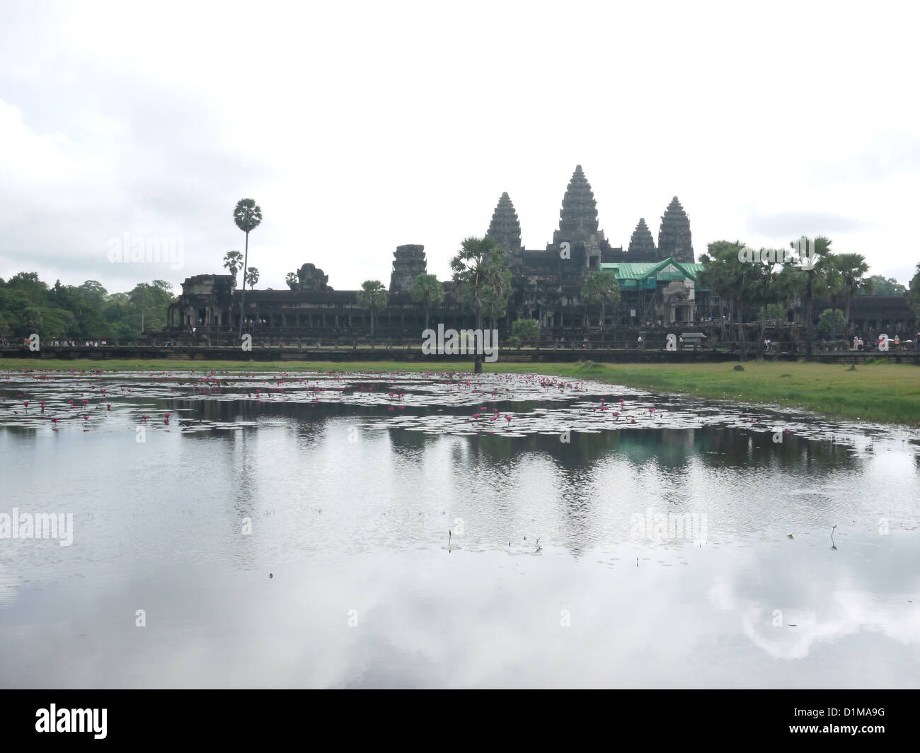 Teich im vorderen Angkor Wat Tempel Stockfoto