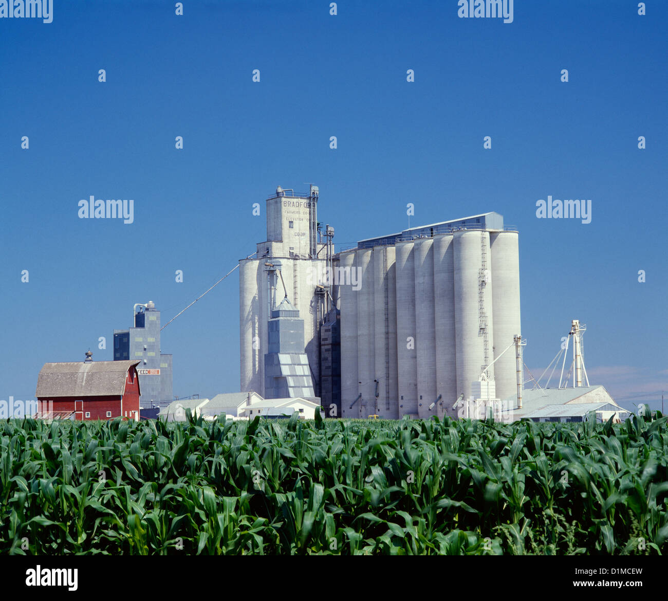 BAUERN CO-OP-AUFZUG / IOWA Stockfoto