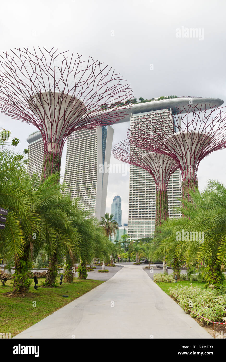 Die Supertree Grove Gardens an der Bucht mit dem Marina Bay Sands in Singapur Hintergrund Stockfoto