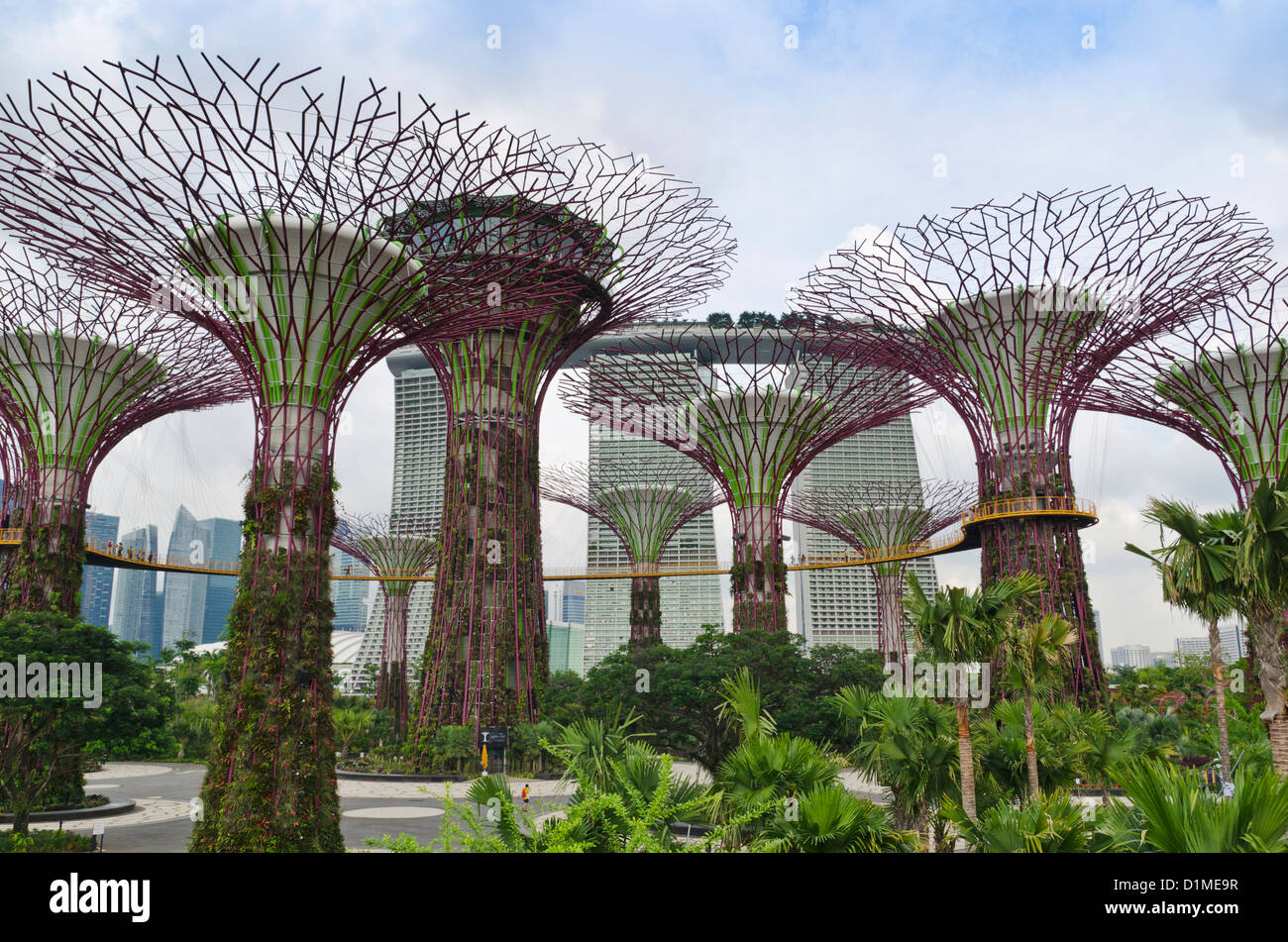 Singapur Supertree Grove Gardens an der Bucht mit dem Marina Bay Sands in Singapur Hintergrund Stockfoto