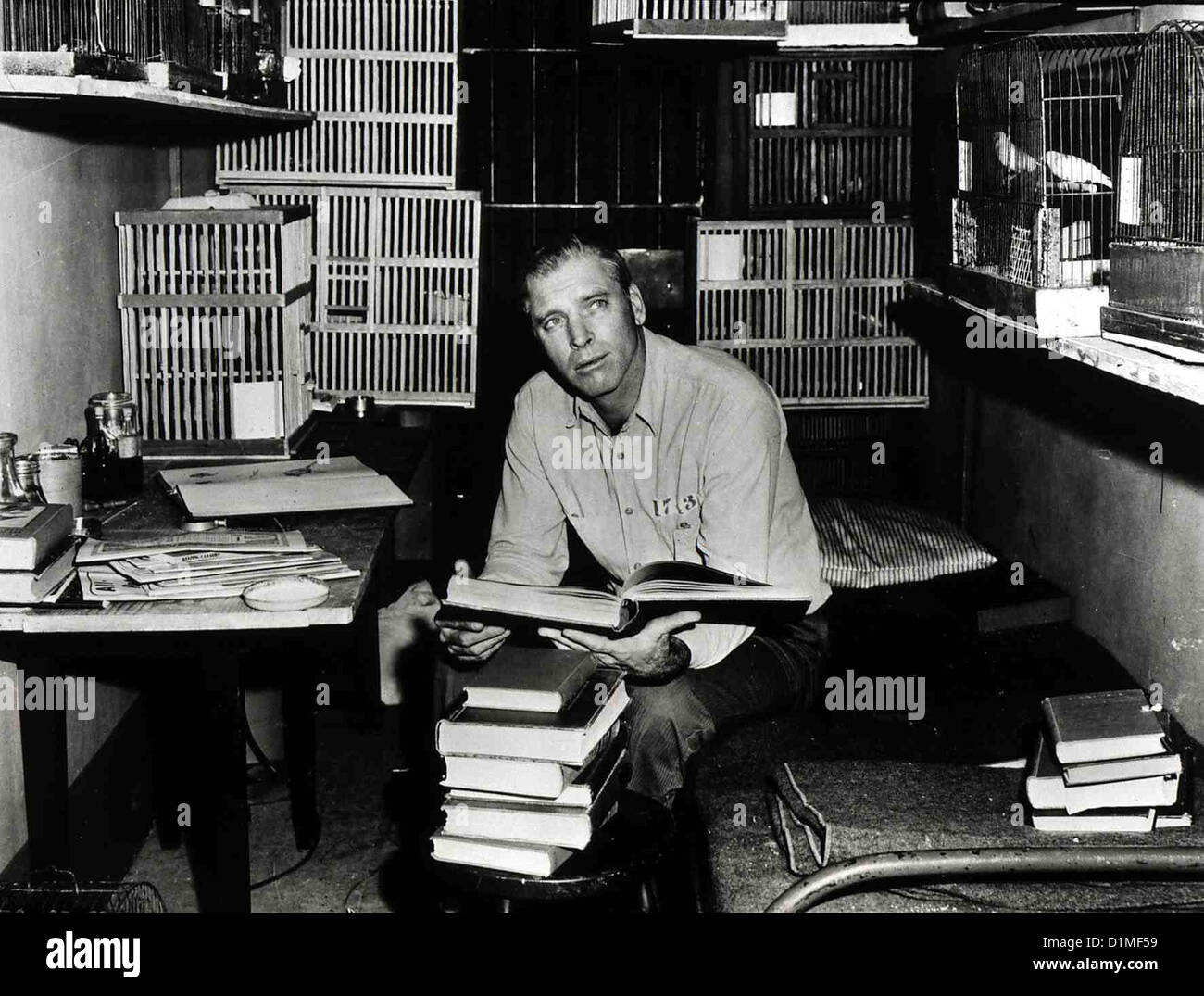 Der Gefangene Von Alcatraz Birdman Alcatraz Burt Lancaster Robert Stroud (Burt Lancaster) Entwickelt Ein Formähnlich Interesse der Stockfoto