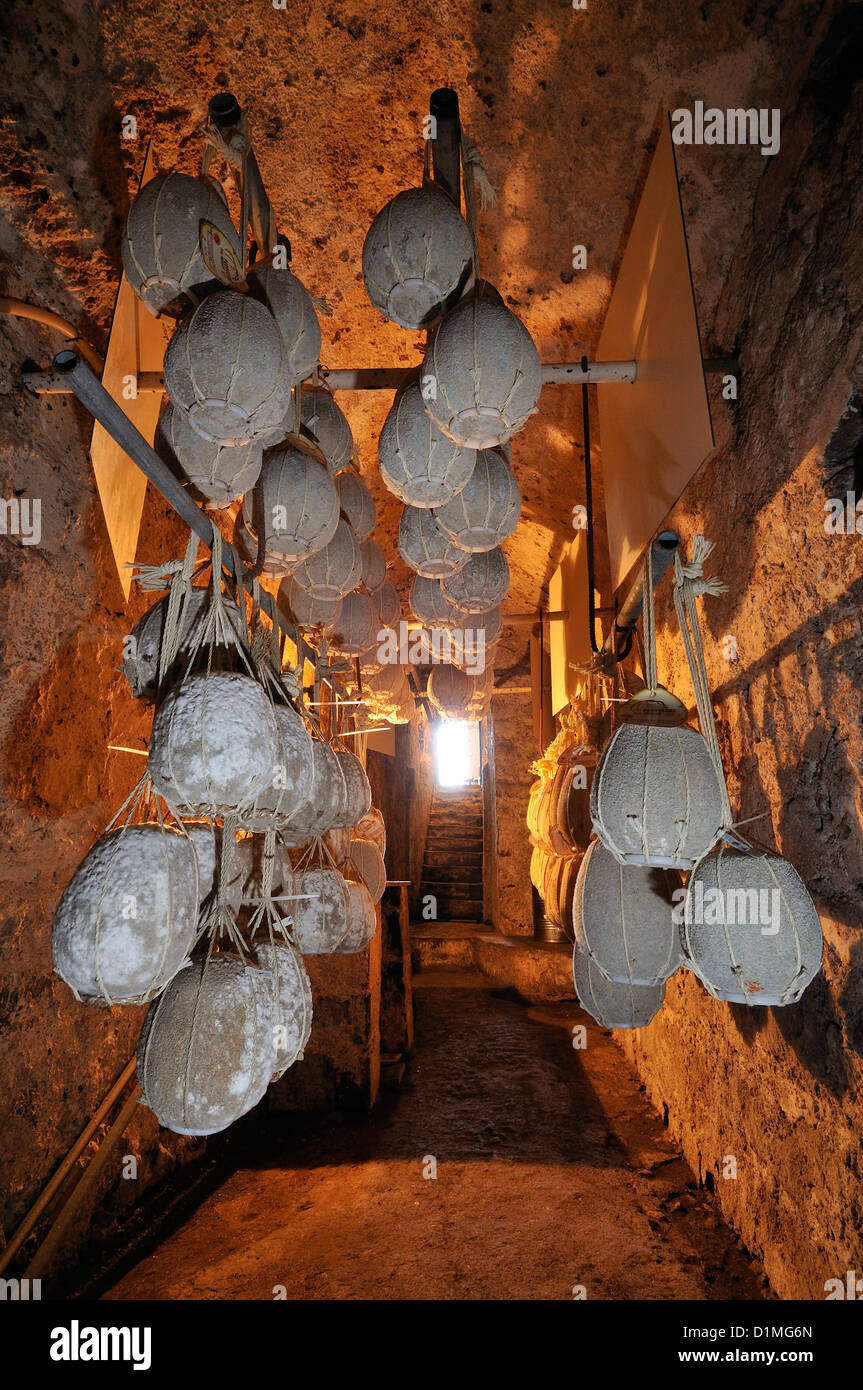 Vico Equense. Italien. Provolone del Monaco Käse im Keller, Caseificio De Gennaro hängen. Stockfoto