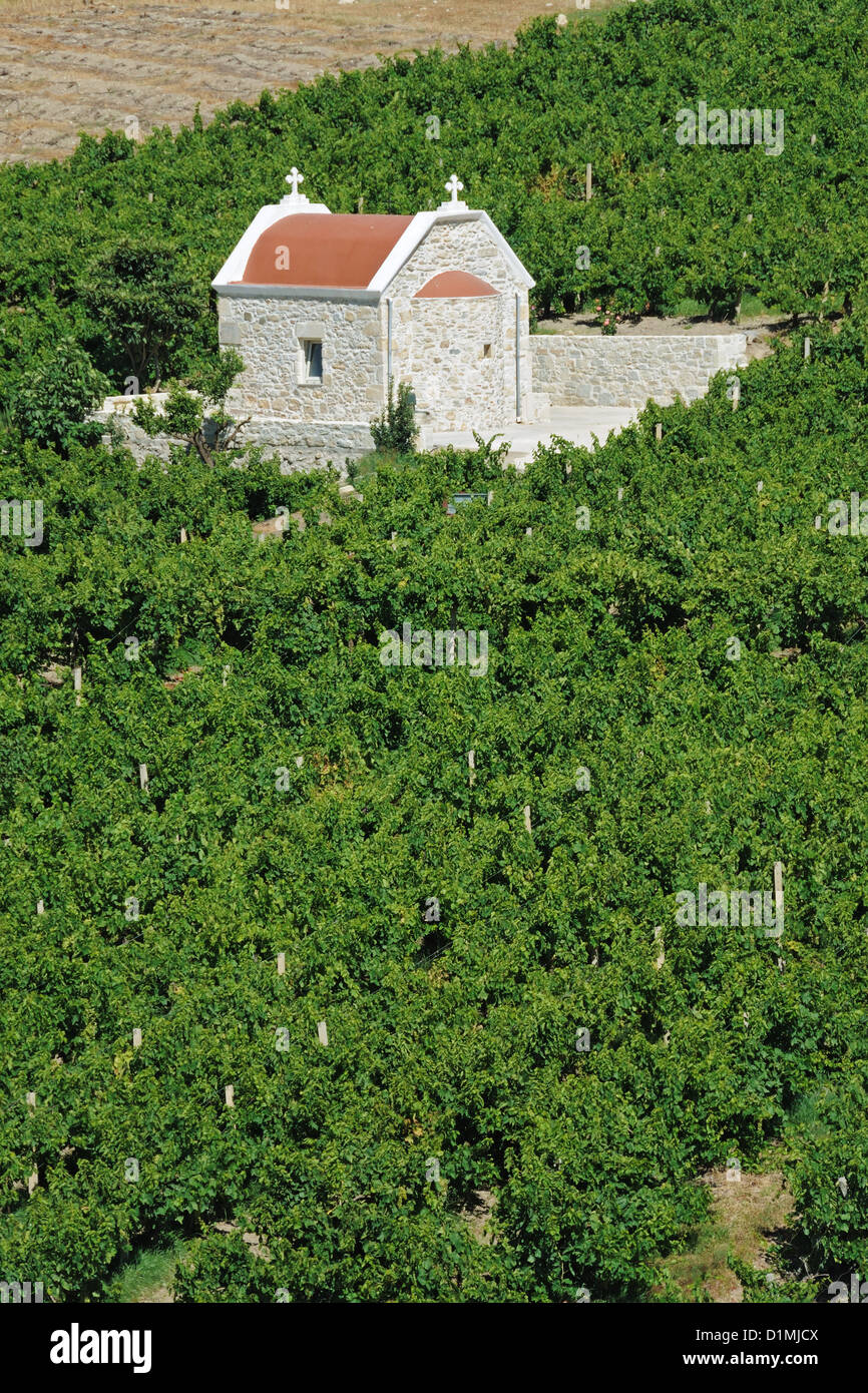 Eine Kirche mitten in einem Weinberg in Kreta, Griechenland Stockfoto