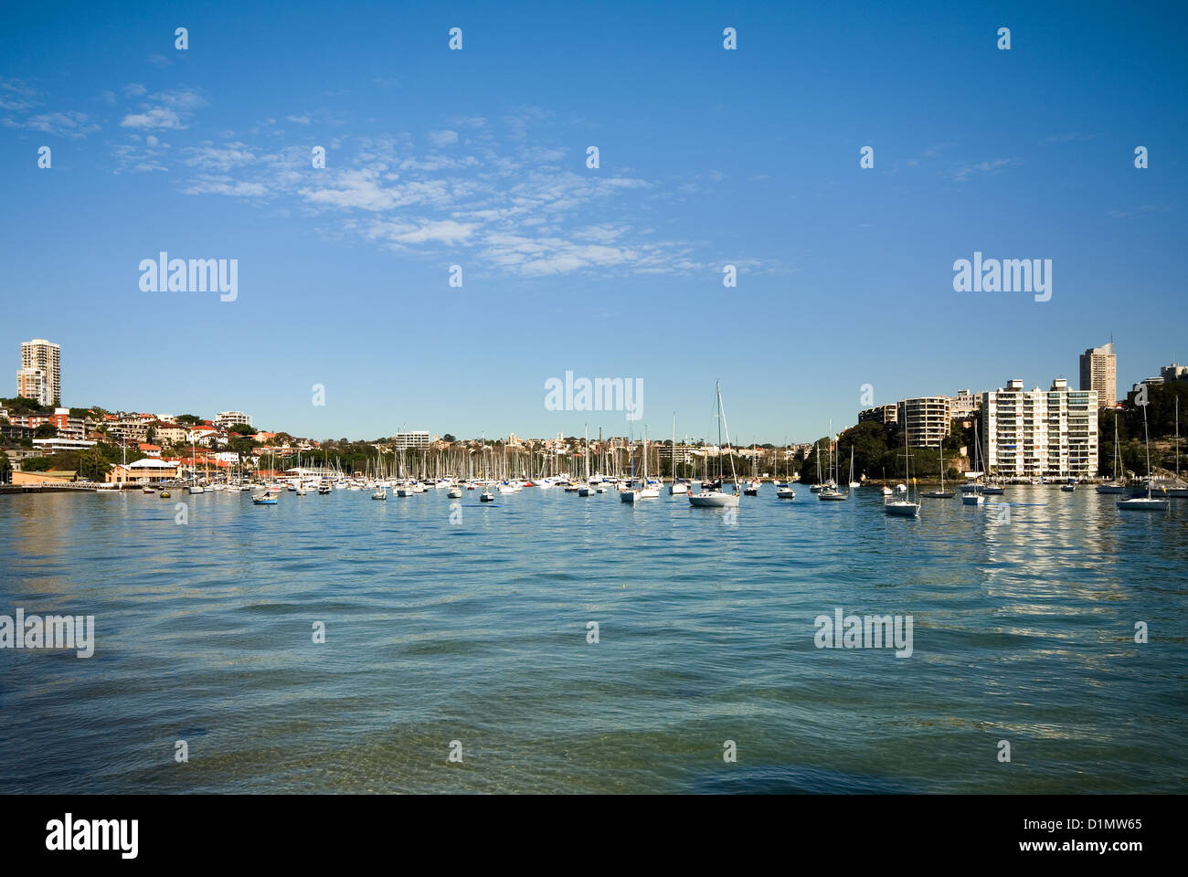 Das kristallklare Wasser der Rose Bay, Sydney Harbour, Australien Stockfoto