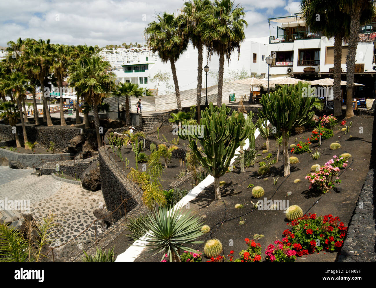 Garten, Puerto Del Carmen, Lanzarote, Kanarische Inseln, Spanien. Stockfoto