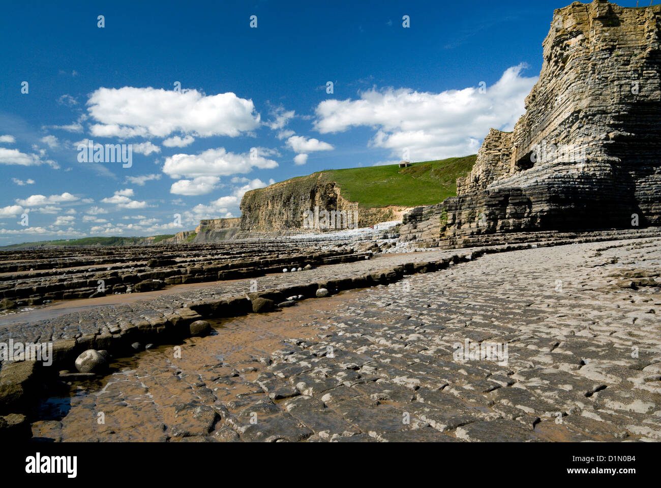 Lias Kalkstein Klippen Cwm Nash Glamorgan Erbe Küste Vale von Glamorgan-Süd-Wales Stockfoto