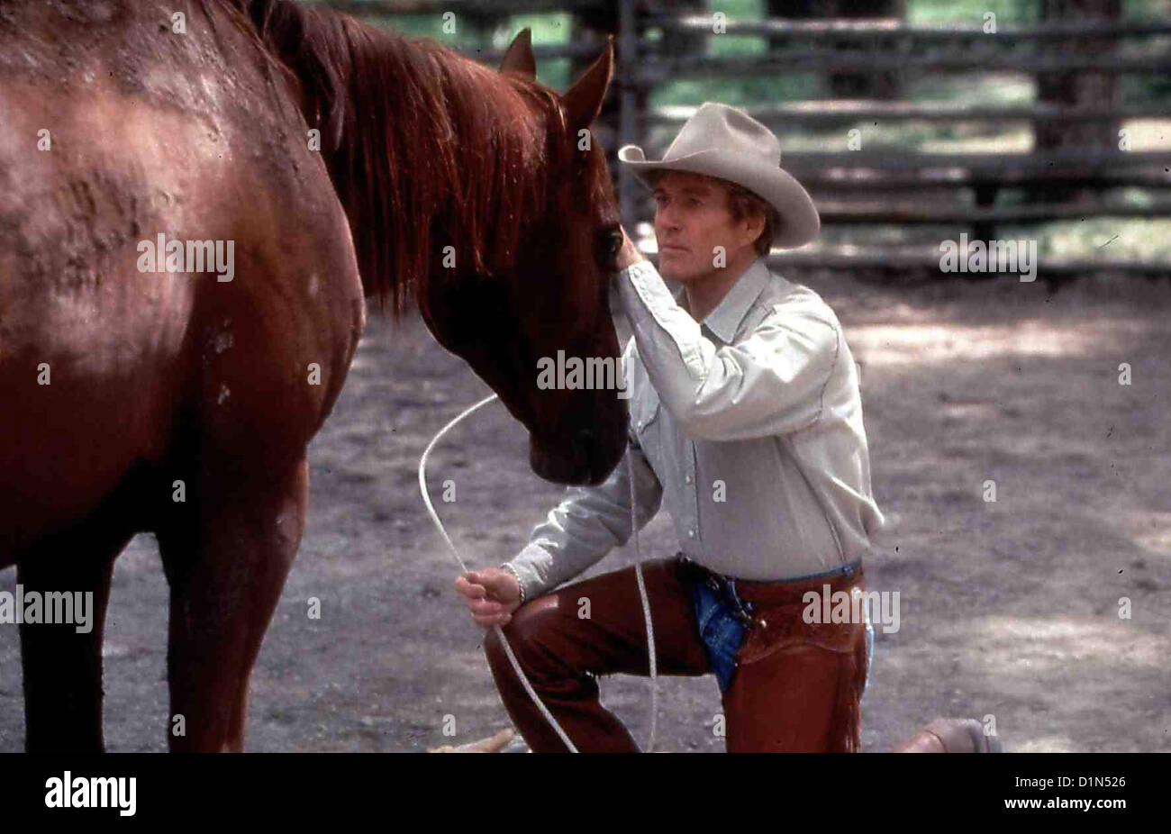 Der Pferdefluesterer Pferdeflüsterer Tom Booker (Robert Redford) *** lokalen Caption *** 1998 IFTN/Touchstone/Buena Vista Stockfoto