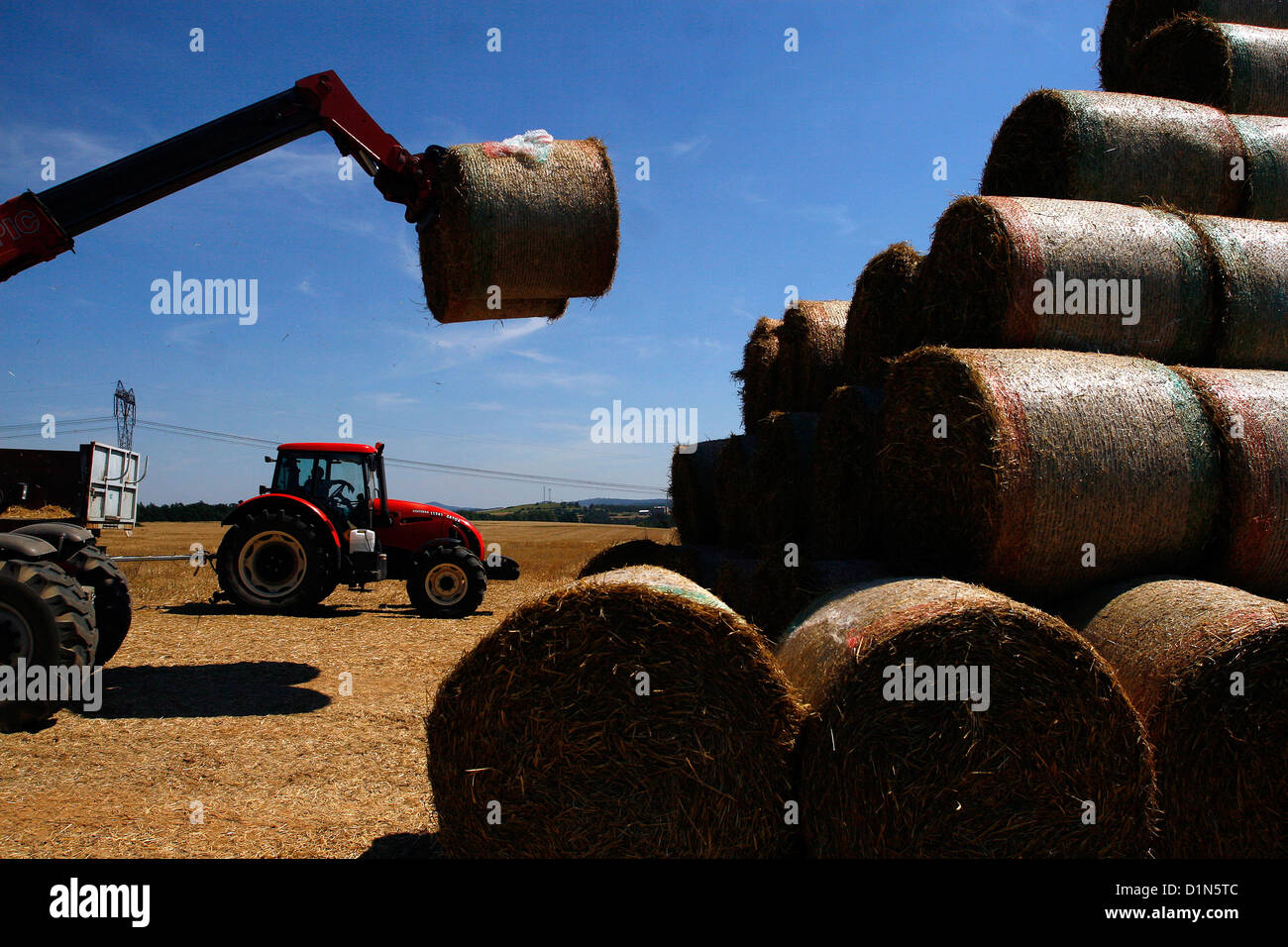 Traktor beladen Rundballen bei einer Hay-Ernte auf offenem Feld Stockfoto