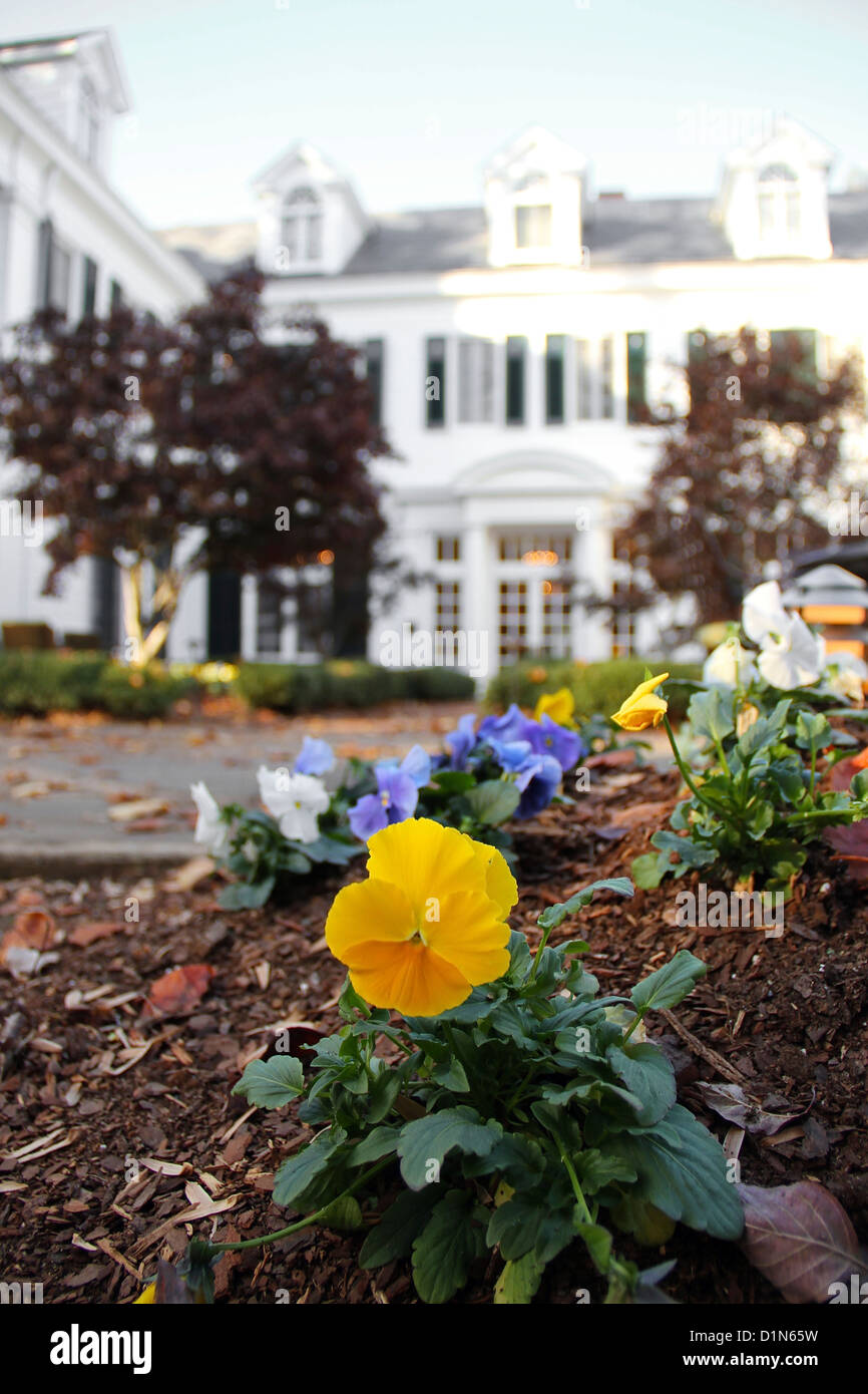 Blumen von Duke Mansion, Charlotte, North Carolina Stockfoto