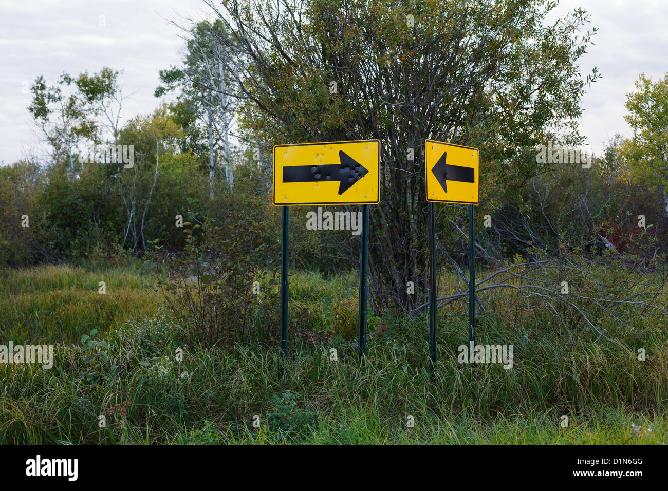 Richtungspfeil Zeichen in einer ländlichen Busch-Umgebung. Stockfoto