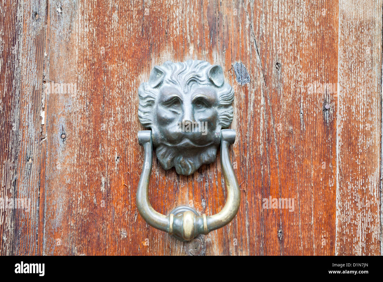 alte Bronze Löwenkopf geformt Türgriff auf schäbige urban Tür Stockfoto