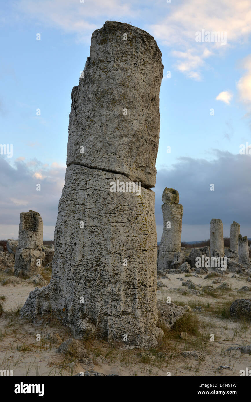 Pobiti Kamani oder Steinwald ist ein Rock-Phänomen befindet sich in Varna Provinz, Bulgarien, Stockfoto