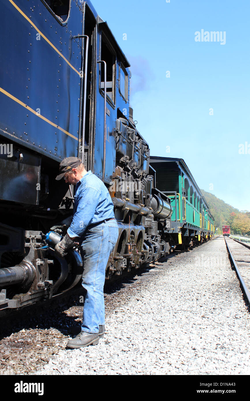 Cass Scenic Railroad State Park, West Virginia, USA Stockfoto