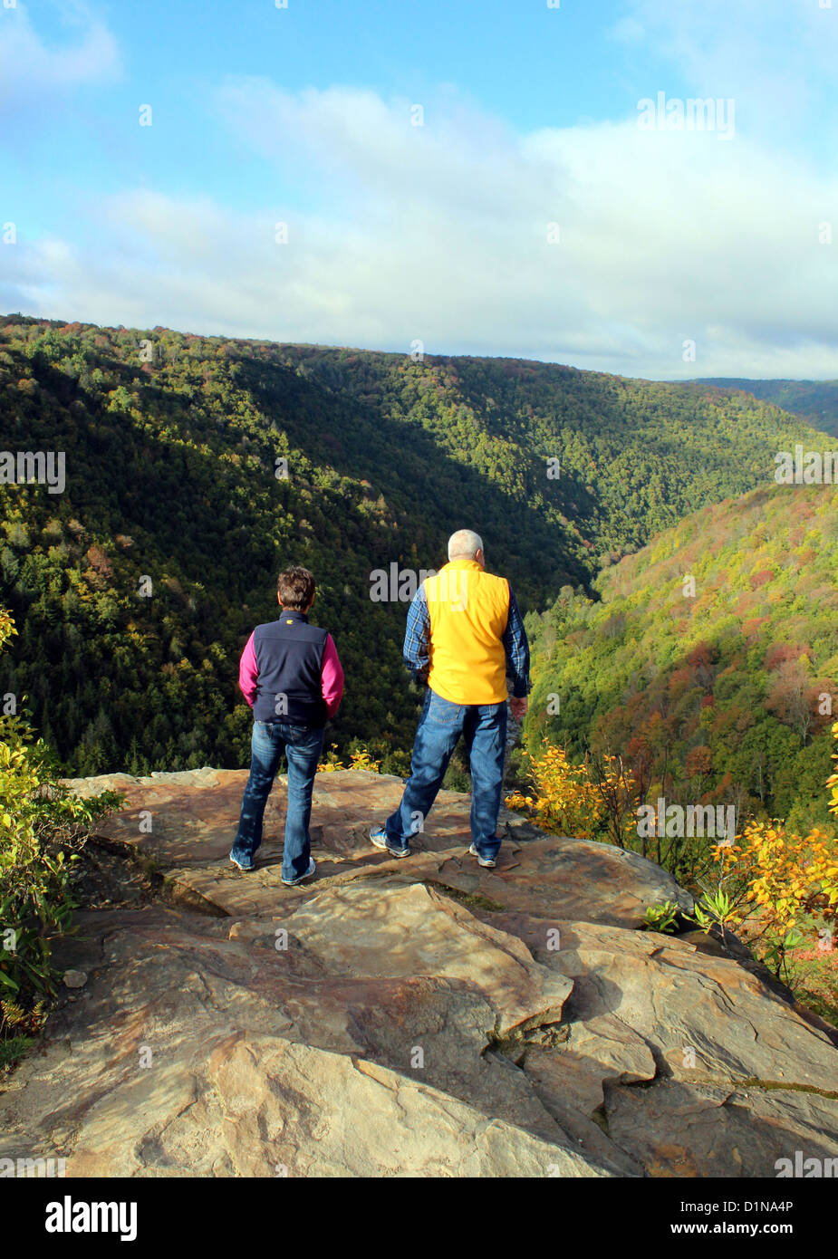 Blackwater Falls State Park, West Virginia, Amerika, USA Stockfoto