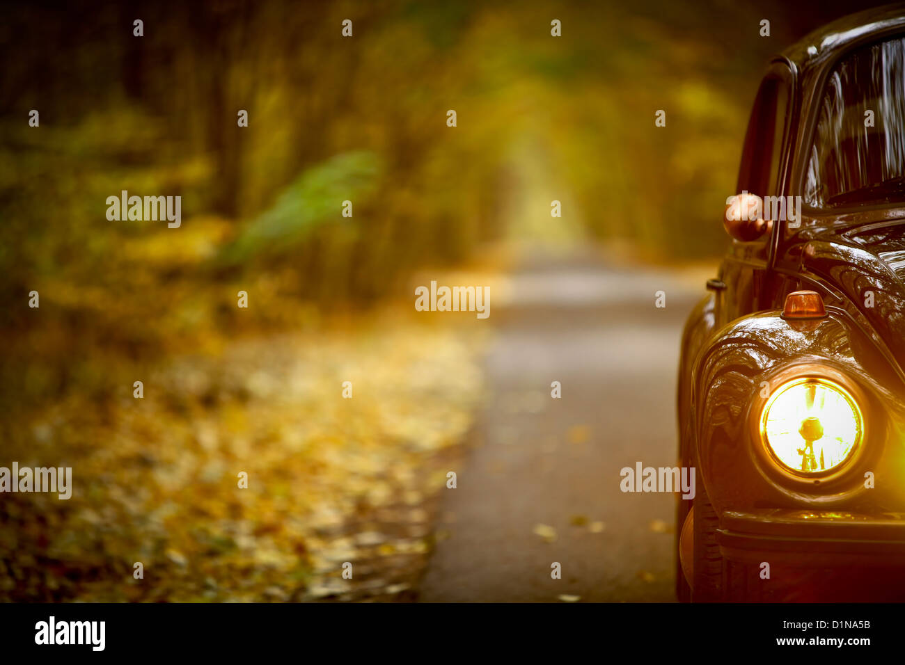 Farbe Schuss eines Oldtimers in einem Wald Stockfoto