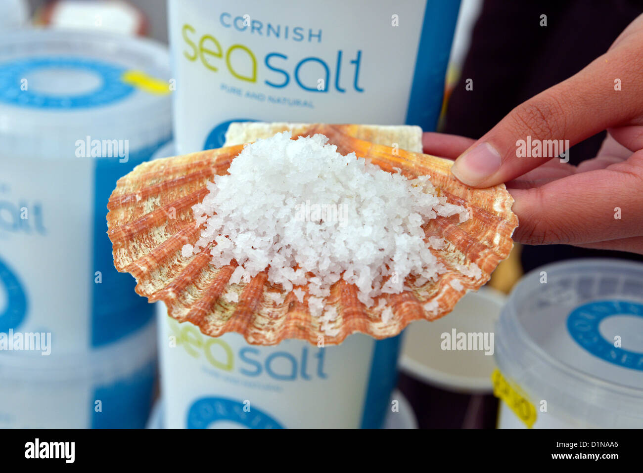 Salz, Cornish Meersalz auf eine Shell Stockfoto