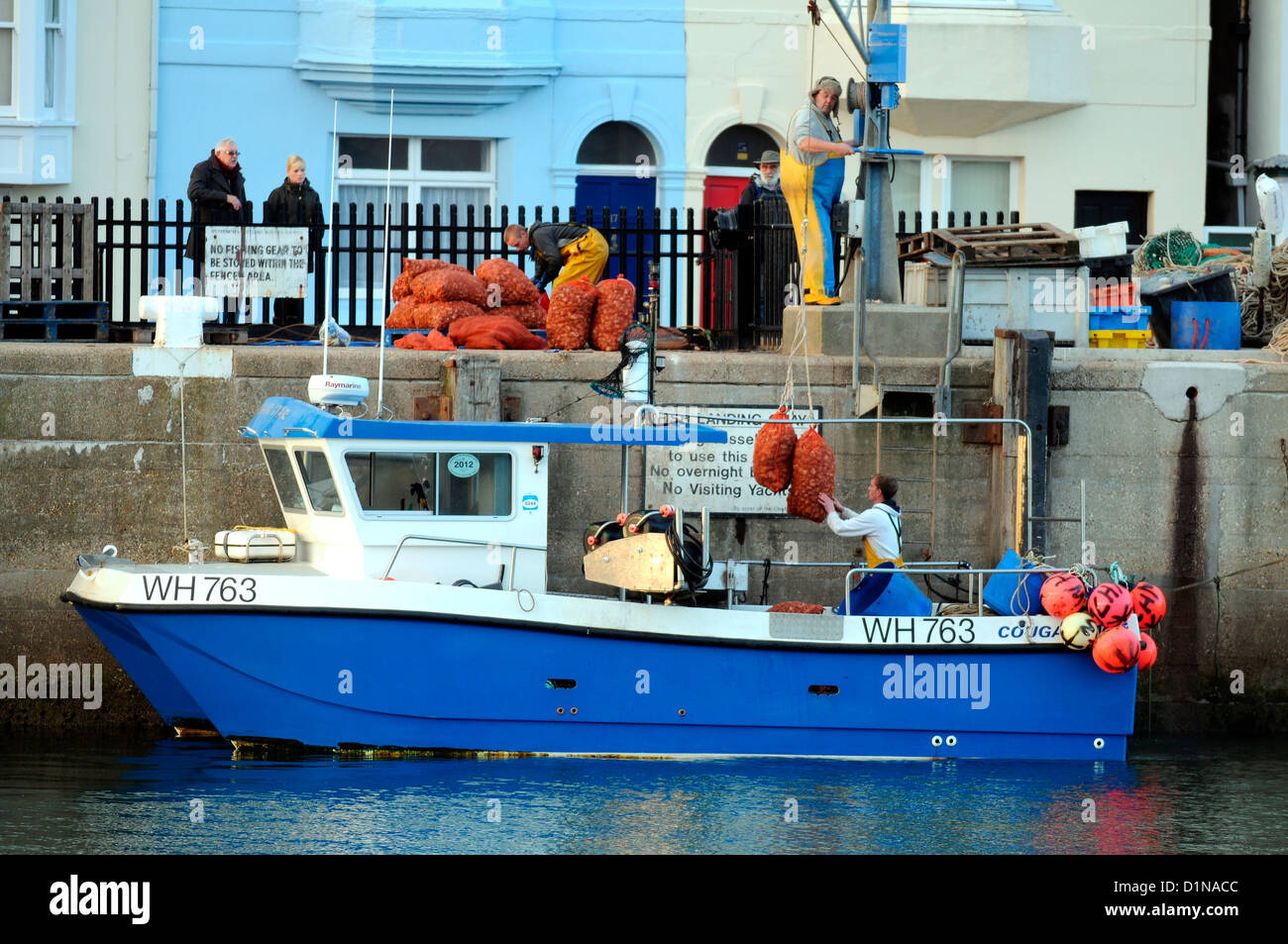 "Fischerboot" entladen ihren Fang im Hafen von Weymouth, England, UK Stockfoto