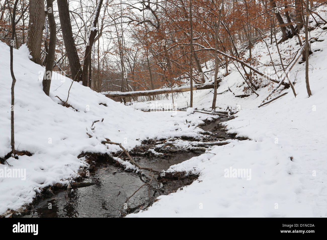 Einem Bach in Minnesota im Winter. Stockfoto