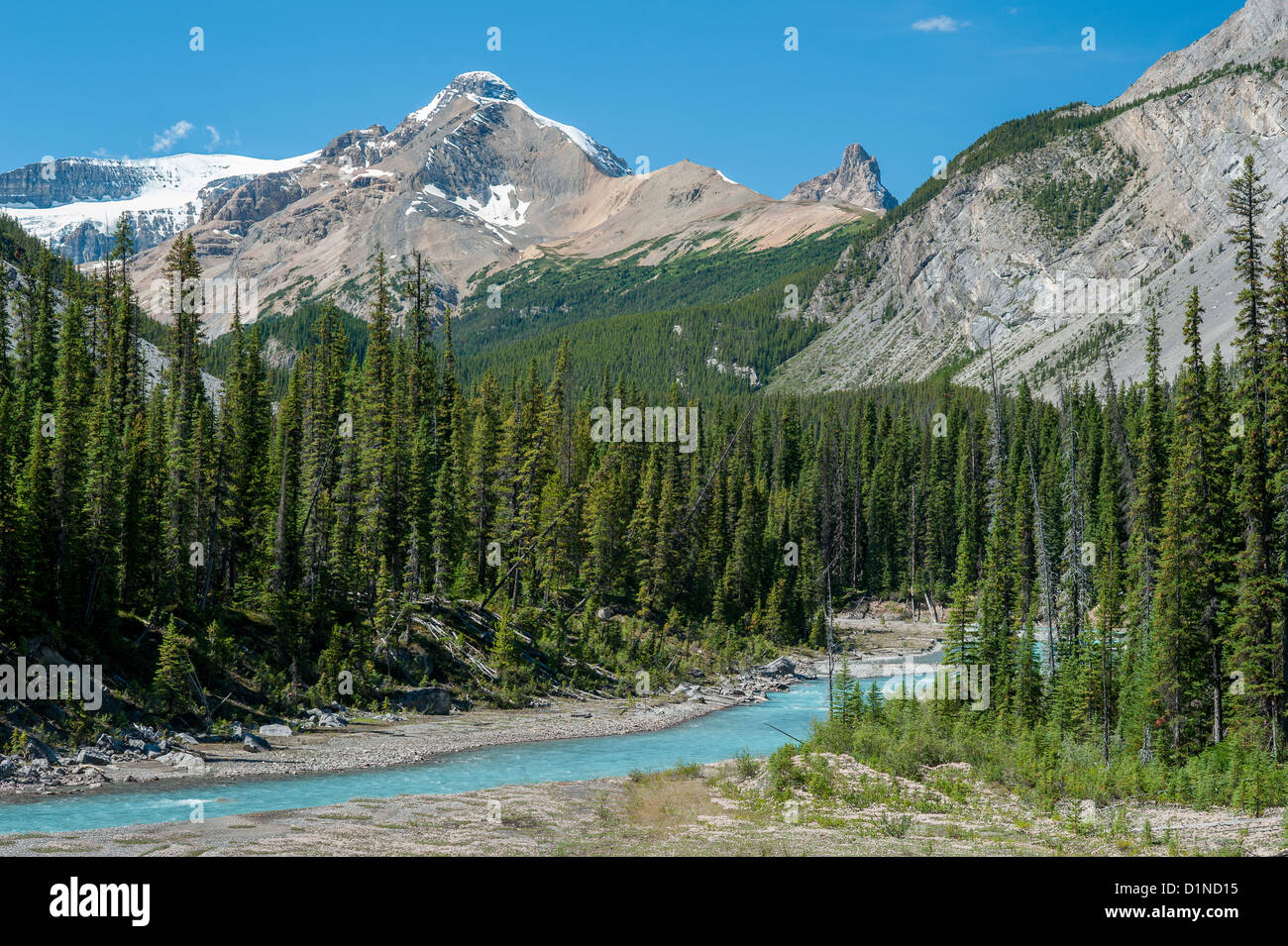 Fluss auf den Icefield Parkway in Jasper Nationalpark, Alberta, Kanada Stockfoto