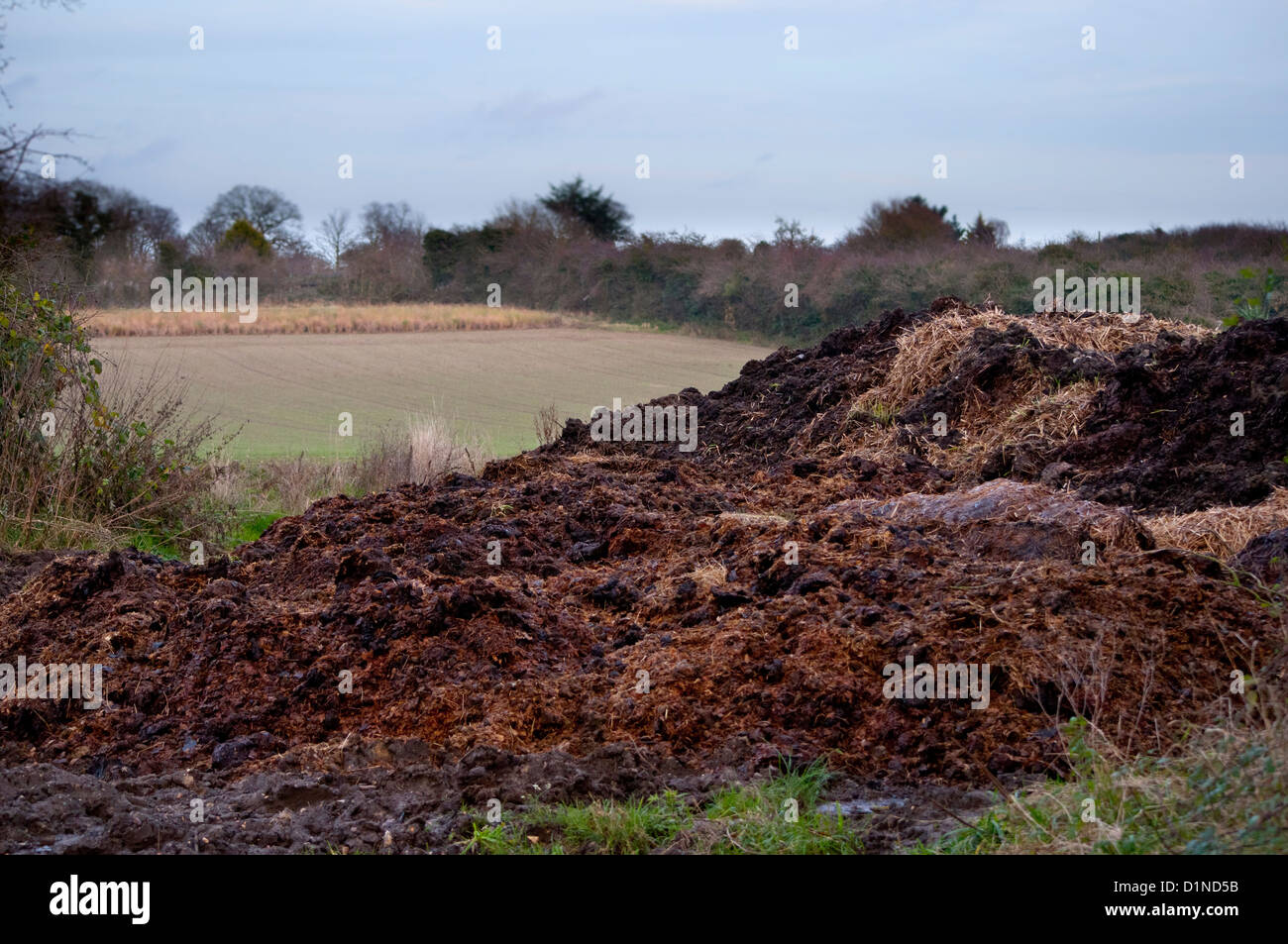 Misthaufen auf dem feld Fotos und Bildmaterial in hoher Auflösung Alamy