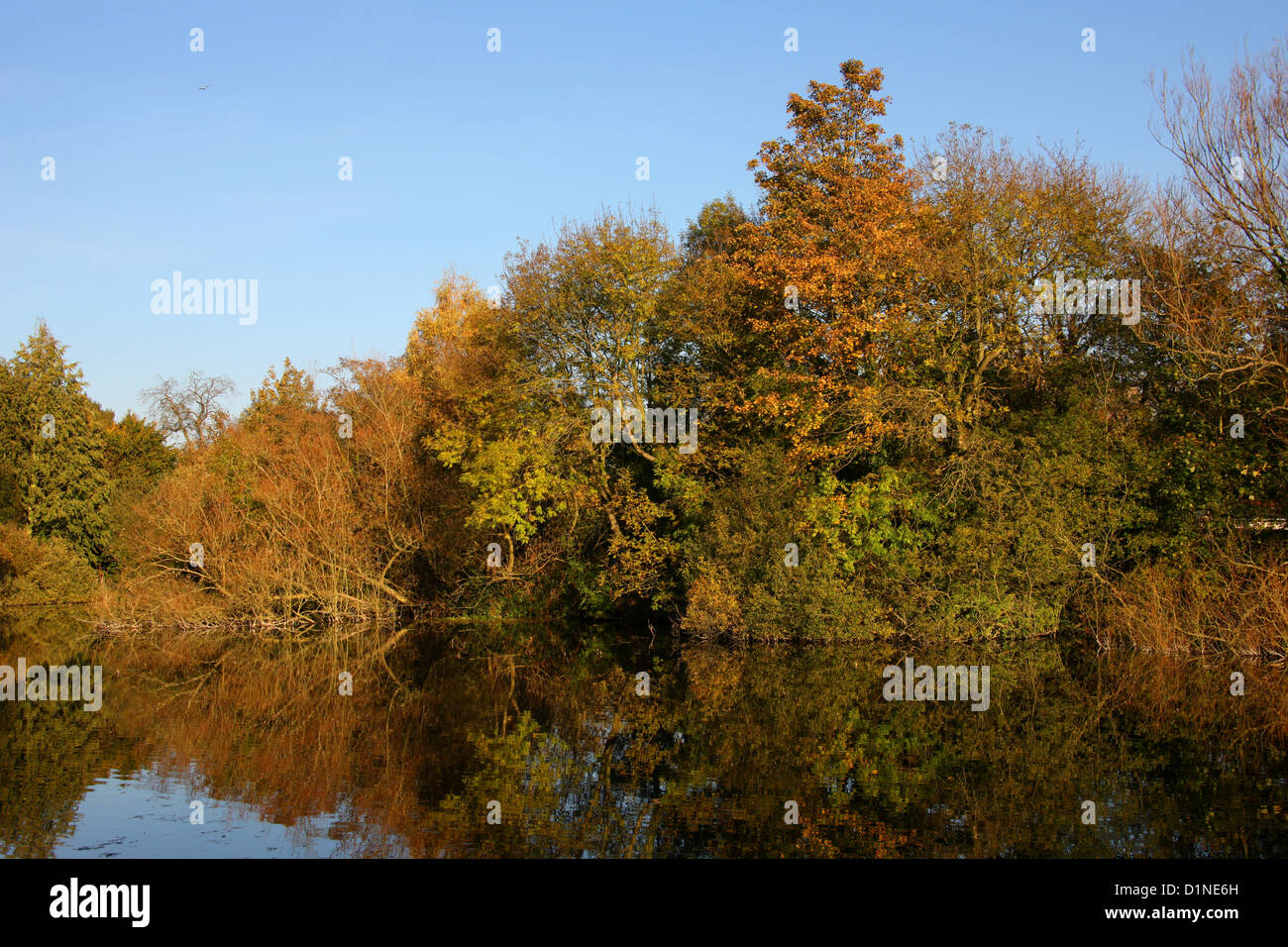 Bunter Herbst Bäume im Wasser reflektiert. Stockfoto