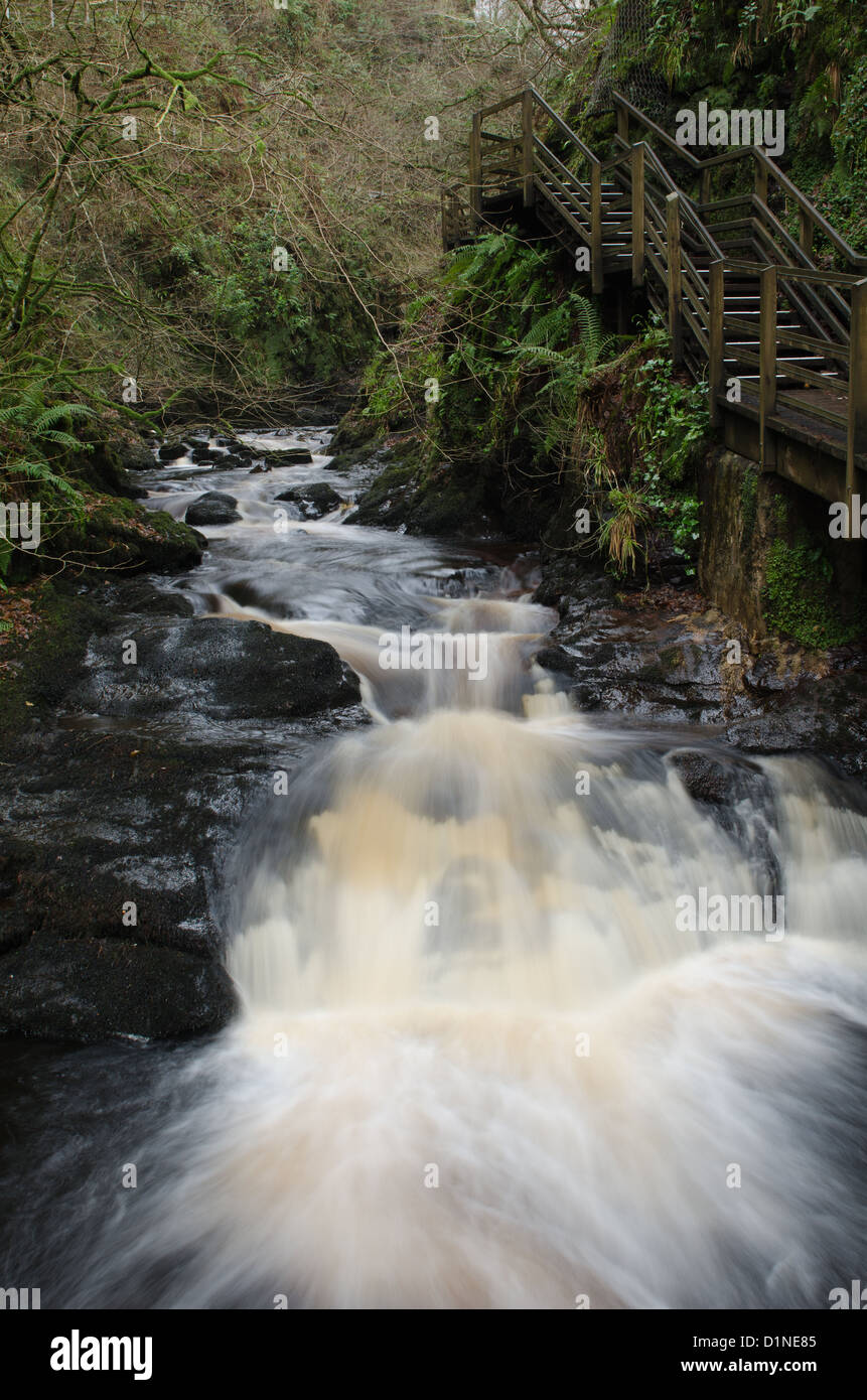 Glenariff Wasserfälle, County Antrim, Nordirland Stockfoto