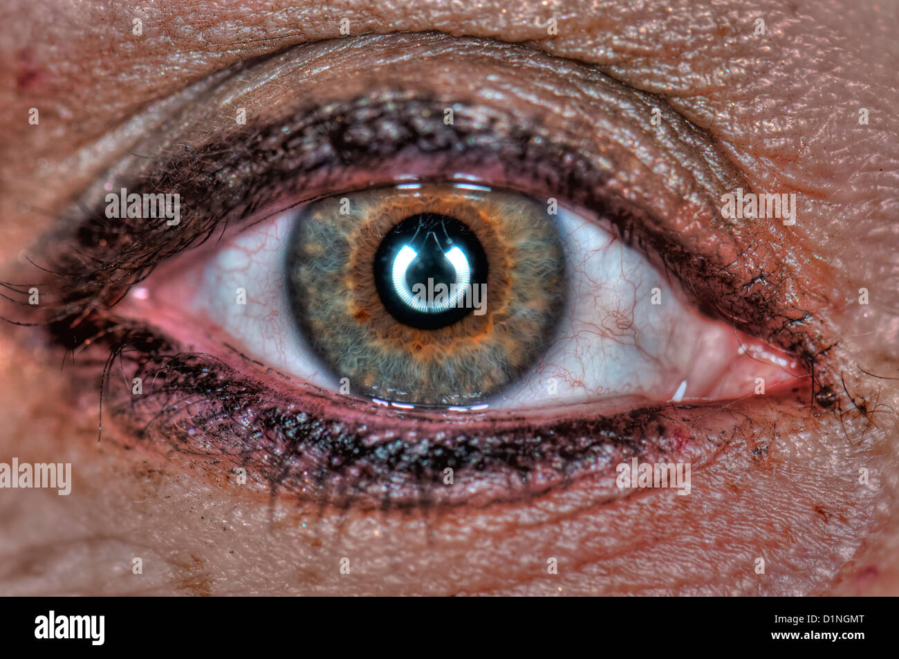 Extreme Nahaufnahme von einem menschlichen Auge grün Stockfoto