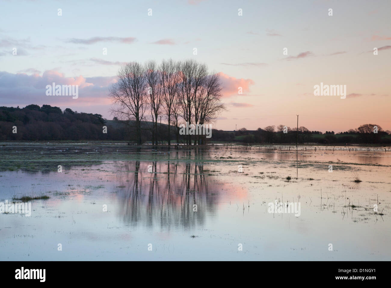 Holmebridge in der Nähe von Wareham, Dorset, UK. 1. Januar 2013.  Felder in der Nähe der Ortschaft Ost Holme weiterhin einen See nach einer weiteren Woche der schweren Regen, wie die nahe gelegenen Fluß Frome Überschwemmungen noch einmal aussehen. Bildnachweis: Eva Worobiec / Alamy Live News Stockfoto